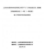 山東祥東新材料科技有限公司年產(chǎn)8.7萬噸抗氧化劑、烷基酚及粗酚精制項目(一期)(一期裝置)竣工環(huán)境保護(hù)驗收監(jiān)測報告