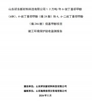 山東祥東新材料科技有限公司1.2萬噸/年6-叔丁基鄰甲(60K)、4-叔丁基鄰甲酚(偏 24 酚)和 4，6-二叔丁基鄰甲酚(偏 246 酚)烷基甲酚項目竣工環(huán)境保護(hù)驗收監(jiān)測報告